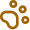 paw